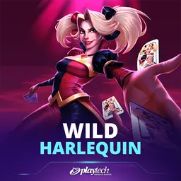 Wild Harlequin